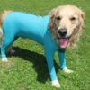 DogBody con gambe e zip (unisex)