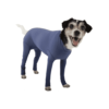 DogBody con gambe