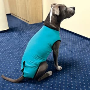 Dog Body PerAnimal - immagine 4