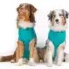 Dog Body Comfort (Unisex)